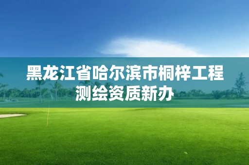 黑龍江省哈爾濱市桐梓工程測繪資質新辦