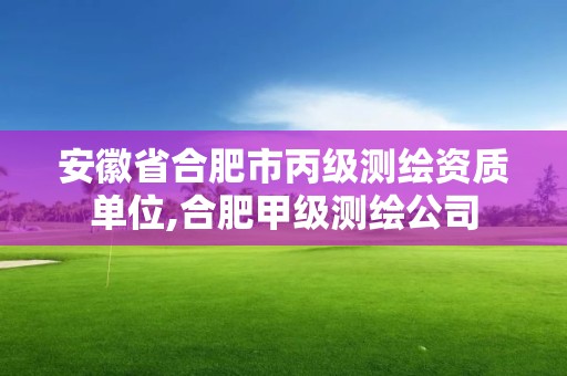 安徽省合肥市丙級測繪資質單位,合肥甲級測繪公司