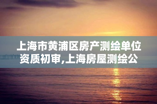 上海市黃浦區房產測繪單位資質初審,上海房屋測繪公司有哪幾家