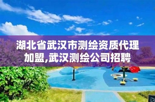 湖北省武漢市測繪資質代理加盟,武漢測繪公司招聘