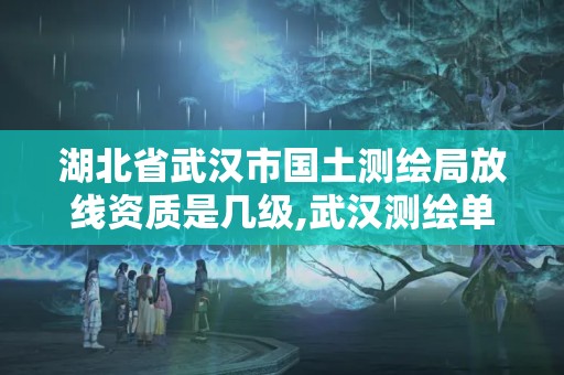 湖北省武漢市國(guó)土測(cè)繪局放線資質(zhì)是幾級(jí),武漢測(cè)繪單位。