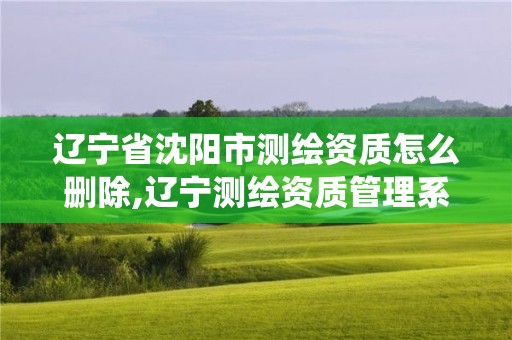 遼寧省沈陽市測繪資質怎么刪除,遼寧測繪資質管理系統登錄