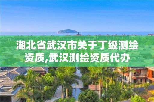 湖北省武漢市關于丁級測繪資質,武漢測繪資質代辦