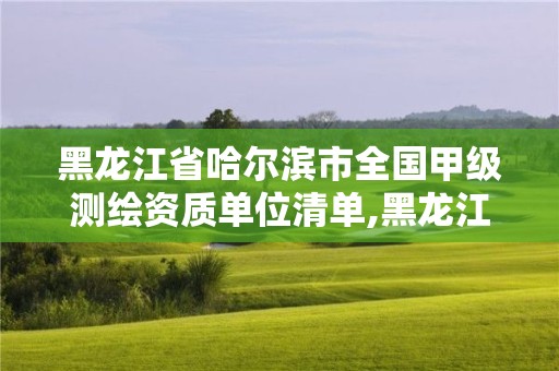 黑龍江省哈爾濱市全國甲級測繪資質單位清單,黑龍江測繪公司乙級資質。