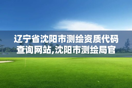 遼寧省沈陽市測繪資質(zhì)代碼查詢網(wǎng)站,沈陽市測繪局官網(wǎng)