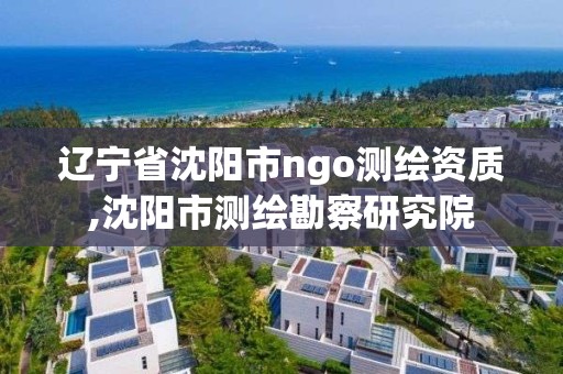 遼寧省沈陽市ngo測繪資質,沈陽市測繪勘察研究院