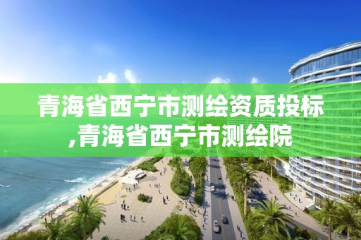 青海省西寧市測(cè)繪資質(zhì)投標(biāo),青海省西寧市測(cè)繪院