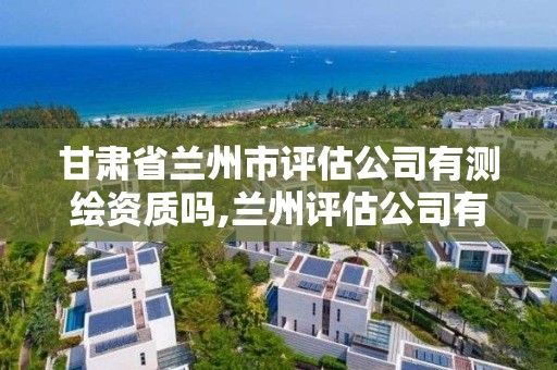 甘肅省蘭州市評估公司有測繪資質(zhì)嗎,蘭州評估公司有哪些