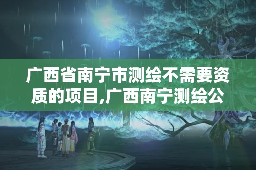 廣西省南寧市測繪不需要資質的項目,廣西南寧測繪公司排名。