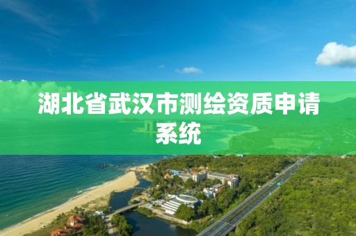 湖北省武漢市測繪資質申請系統