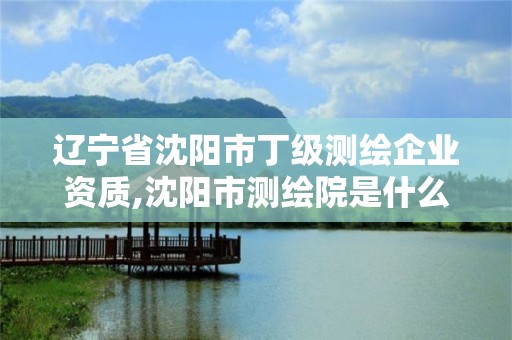 遼寧省沈陽市丁級測繪企業資質,沈陽市測繪院是什么單位