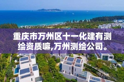 重慶市萬州區十一化建有測繪資質嘛,萬州測繪公司。