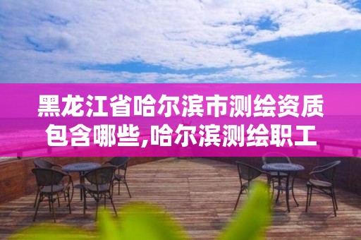 黑龍江省哈爾濱市測繪資質(zhì)包含哪些,哈爾濱測繪職工中等專業(yè)學(xué)校