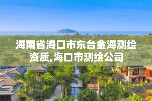 海南省海口市東臺(tái)金海測(cè)繪資質(zhì),海口市測(cè)繪公司