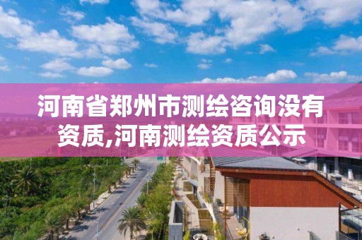 河南省鄭州市測繪咨詢沒有資質,河南測繪資質公示