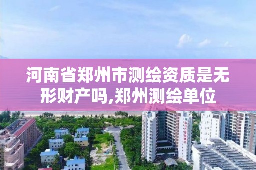 河南省鄭州市測繪資質是無形財產嗎,鄭州測繪單位