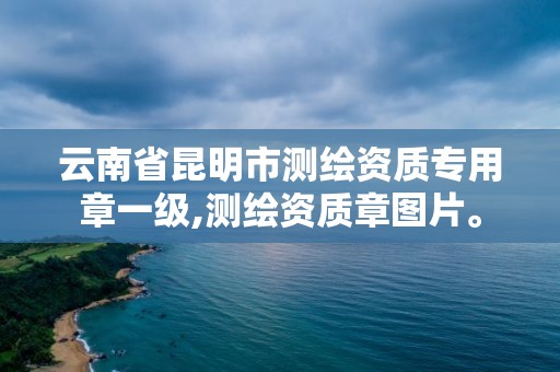 云南省昆明市測繪資質專用章一級,測繪資質章圖片。