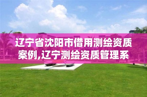 遼寧省沈陽市借用測繪資質案例,遼寧測繪資質管理系統登錄