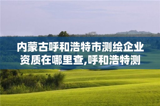 內(nèi)蒙古呼和浩特市測繪企業(yè)資質(zhì)在哪里查,呼和浩特測繪院。