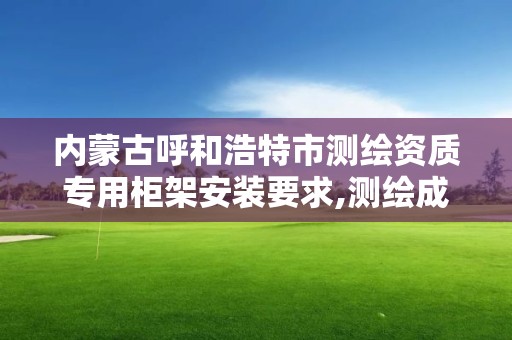 內蒙古呼和浩特市測繪資質專用柜架安裝要求,測繪成果和資料檔案專用柜架。