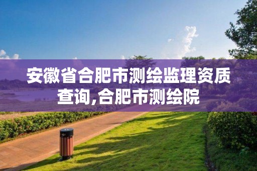 安徽省合肥市測繪監(jiān)理資質(zhì)查詢,合肥市測繪院