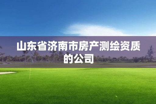 山東省濟南市房產(chǎn)測繪資質(zhì)的公司