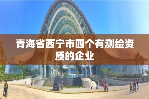 青海省西寧市四個有測繪資質(zhì)的企業(yè)