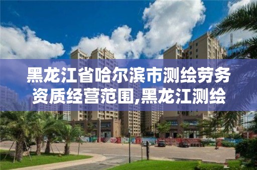 黑龍江省哈爾濱市測繪勞務資質經營范圍,黑龍江測繪公司乙級資質。