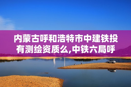 內蒙古呼和浩特市中建鐵投有測繪資質么,中鐵六局呼和鐵建測繪分公司。