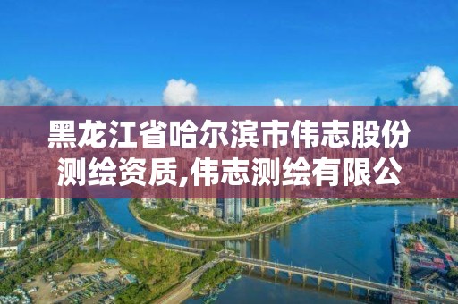 黑龍江省哈爾濱市偉志股份測繪資質(zhì),偉志測繪有限公司