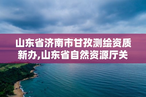 山東省濟南市甘孜測繪資質新辦,山東省自然資源廳關于延長測繪資質證書有效期的公告