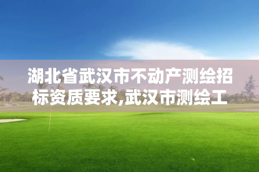 湖北省武漢市不動產測繪招標資質要求,武漢市測繪工程技術規定。