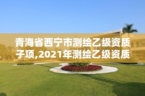 青海省西寧市測繪乙級資質子項,2021年測繪乙級資質