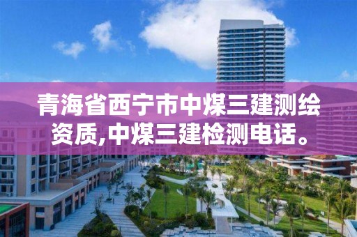 青海省西寧市中煤三建測繪資質,中煤三建檢測電話。