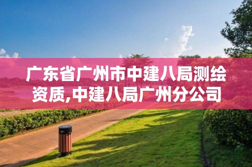 廣東省廣州市中建八局測繪資質,中建八局廣州分公司官網。