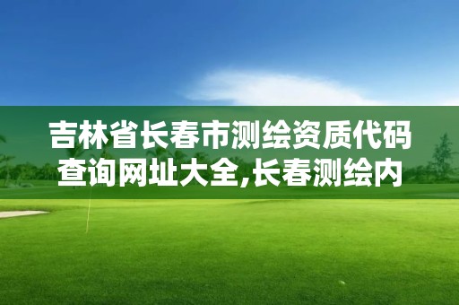 吉林省長春市測繪資質(zhì)代碼查詢網(wǎng)址大全,長春測繪內(nèi)業(yè)招聘。