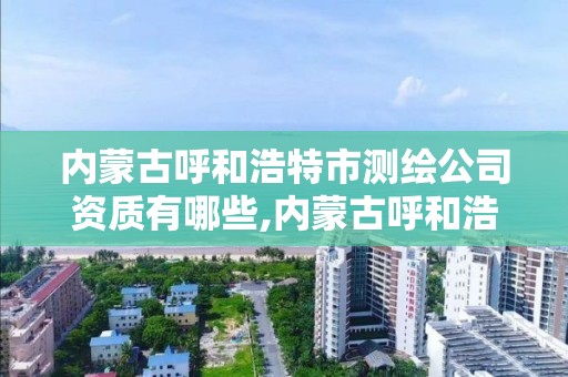 內蒙古呼和浩特市測繪公司資質有哪些,內蒙古呼和浩特市測繪公司資質有哪些企業