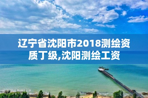 遼寧省沈陽市2018測繪資質(zhì)丁級,沈陽測繪工資