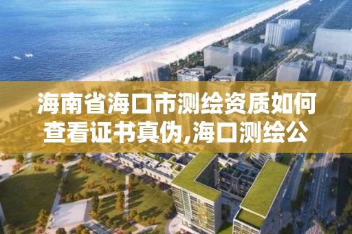 海南省海口市測繪資質如何查看證書真偽,海口測繪公司排行榜