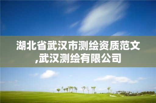 湖北省武漢市測繪資質范文,武漢測繪有限公司