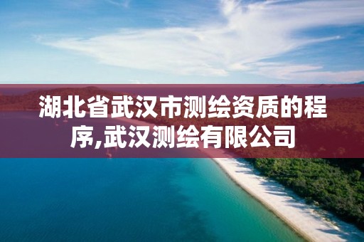 湖北省武漢市測繪資質的程序,武漢測繪有限公司