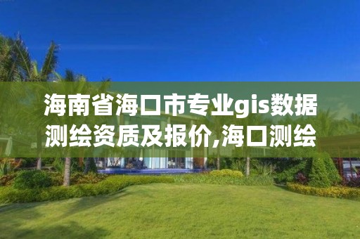 海南省?？谑袑Igis數據測繪資質及報價,?？跍y繪院。