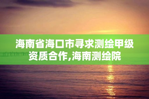 海南省海口市尋求測繪甲級資質(zhì)合作,海南測繪院