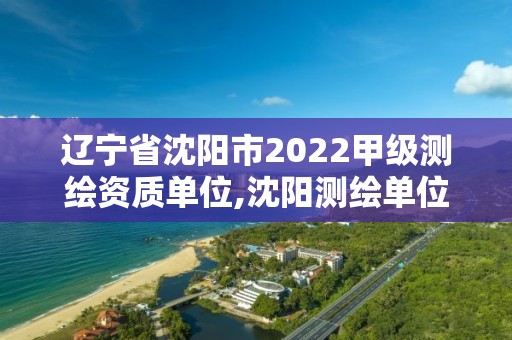 遼寧省沈陽市2022甲級測繪資質單位,沈陽測繪單位招聘