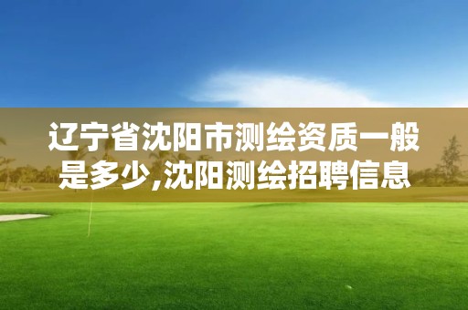 遼寧省沈陽市測繪資質一般是多少,沈陽測繪招聘信息。