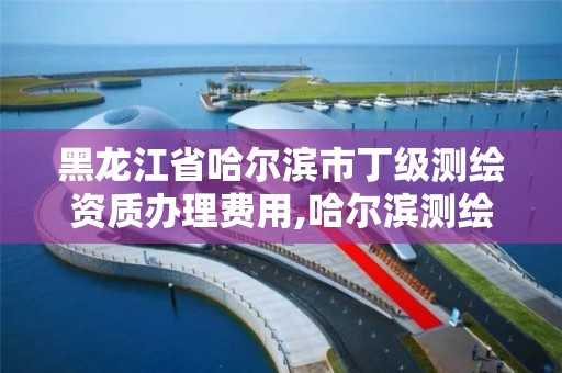 黑龍江省哈爾濱市丁級測繪資質辦理費用,哈爾濱測繪局怎么樣