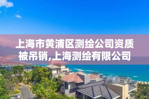 上海市黃浦區測繪公司資質被吊銷,上海測繪有限公司