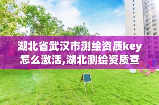 湖北省武漢市測繪資質key怎么激活,湖北測繪資質查詢