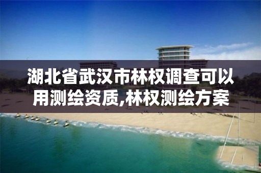 湖北省武漢市林權調查可以用測繪資質,林權測繪方案。