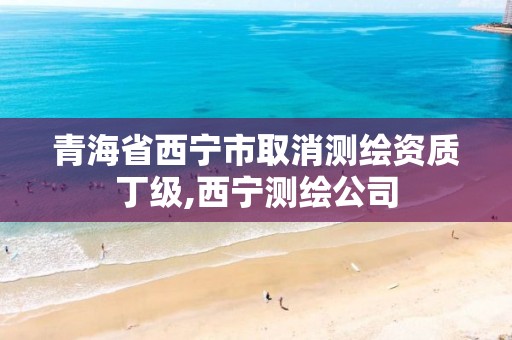 青海省西寧市取消測繪資質丁級,西寧測繪公司